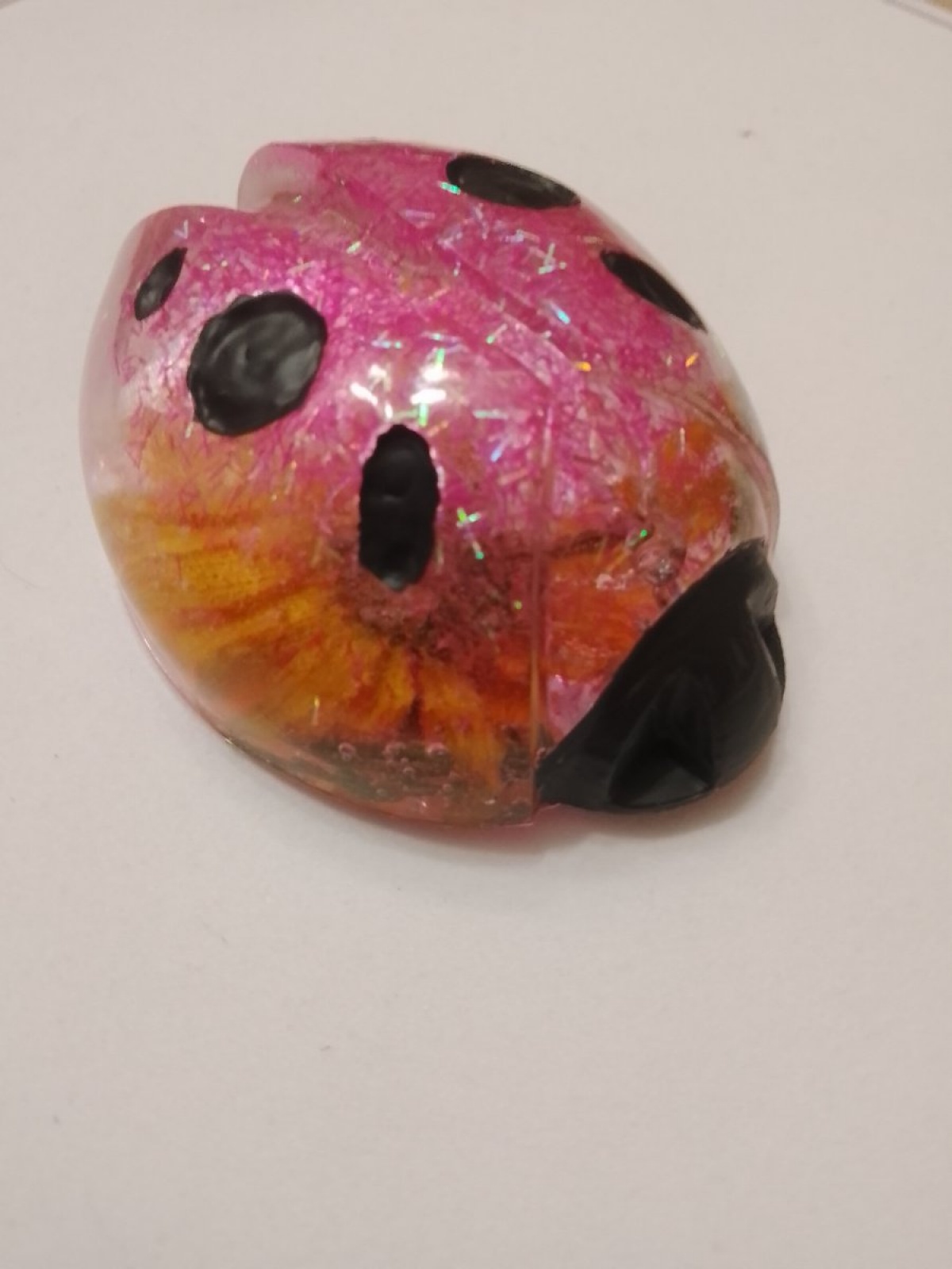 Сувенир Божья коровка