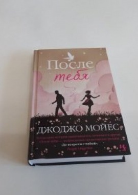 Книга "После тебя"

&nbsp;
