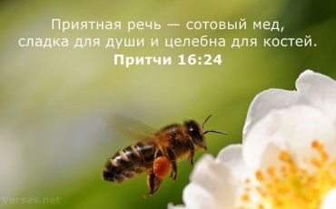 Новая трансляция в Доме Веры Божьей. Сегодня 19.02.2025 тема приятная речь - сотовый мед.