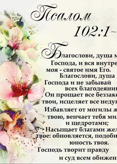 Вы начинаете познавать Божье слово. Вы слушаете прекрасные проповеди и пытаетесь соответствовать Божьему народу. Вы. если кто-то вас обидел, может ...