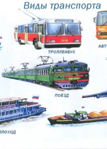 Как выбрать оптимальный вид транспорта для ежедневных поездок
