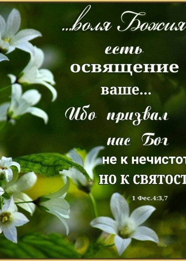 Зерна должны у каждого христианина быть плодными.&nbsp;
Слава Богу за великую мудрость!

Не теряйте возможности говорить с Богом, прославлять его и...