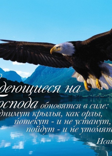 Благословенного утра братья и сестры!
&nbsp;Как и любой день пробуждения, и сегодняшний день несет в себе мудрые зерна для каждого.

Произносите ка...