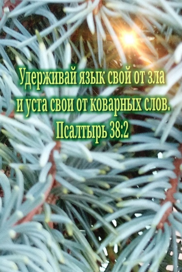 Ель