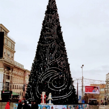 Главная елка на площади Донецк