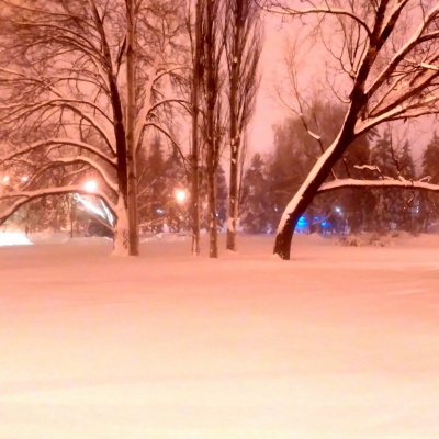 Снежный покров