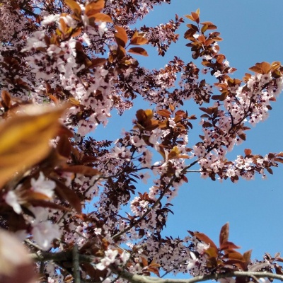 В лучах солнца