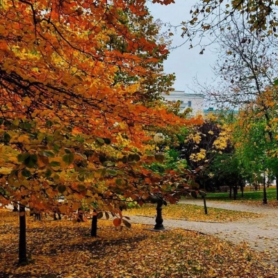 Осенний парк