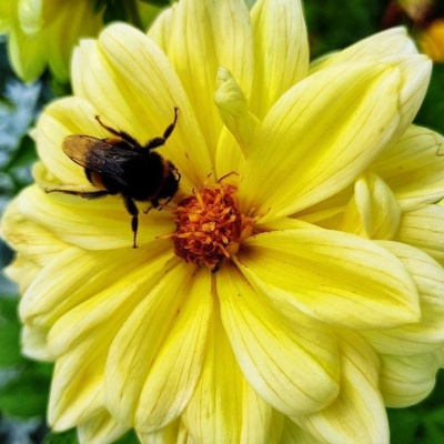 природа