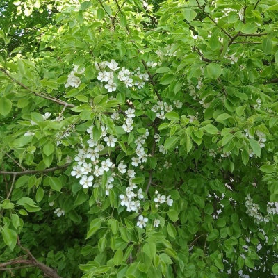Городской транспорт