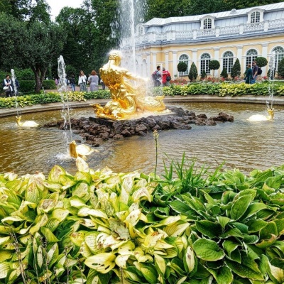 весна