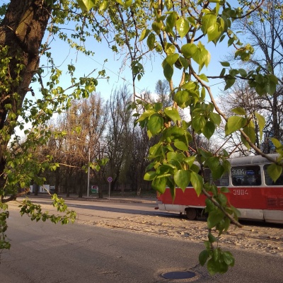Городской транспорт