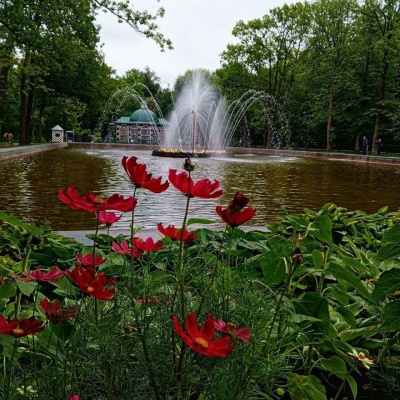 весна