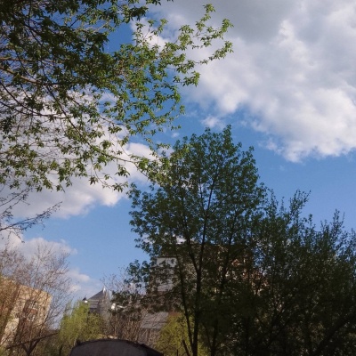 Городской транспорт