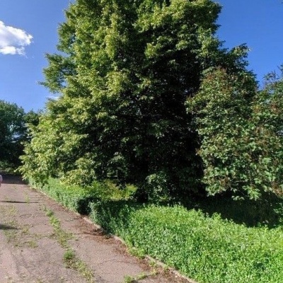 весна