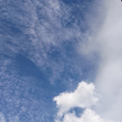 Природа