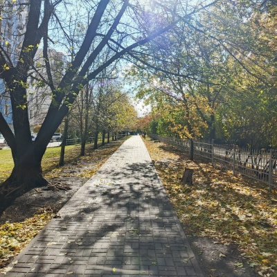 Городской транспорт