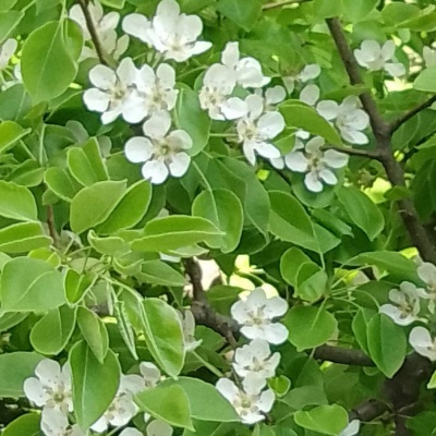 Городской транспорт