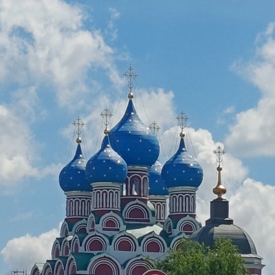 цветение сада